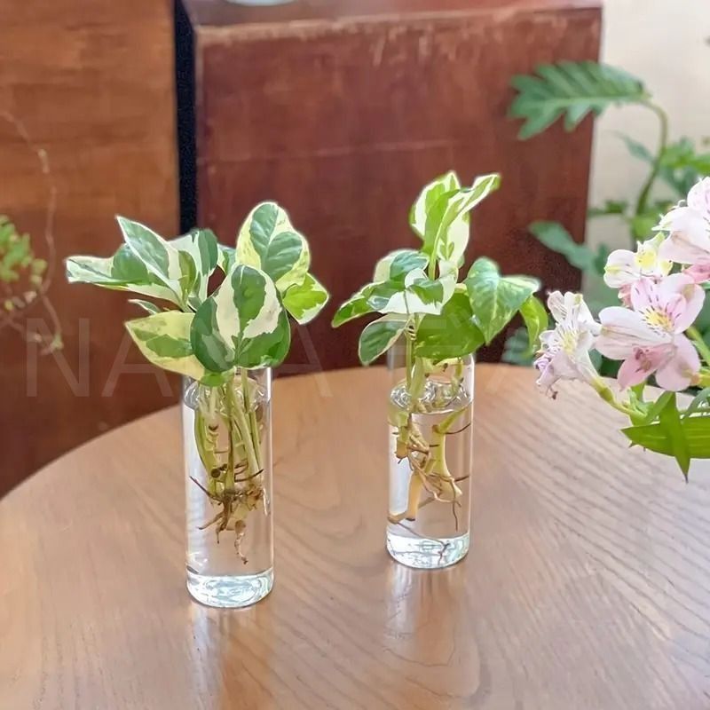 【新品未使用】花瓶　壁掛け 新品?未使用】 花瓶 試験管プランター 壁掛け フラワーベース