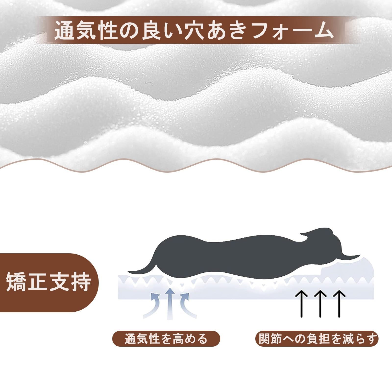 大型犬