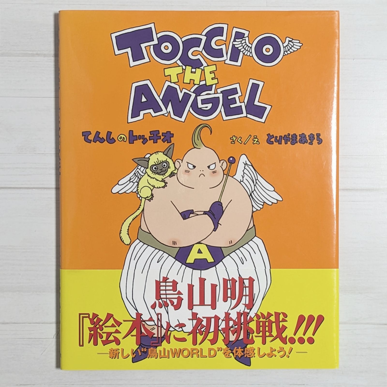 Science Comics 洋書 フルカラー 子供英語 キッズ英語 英語絵本 29册