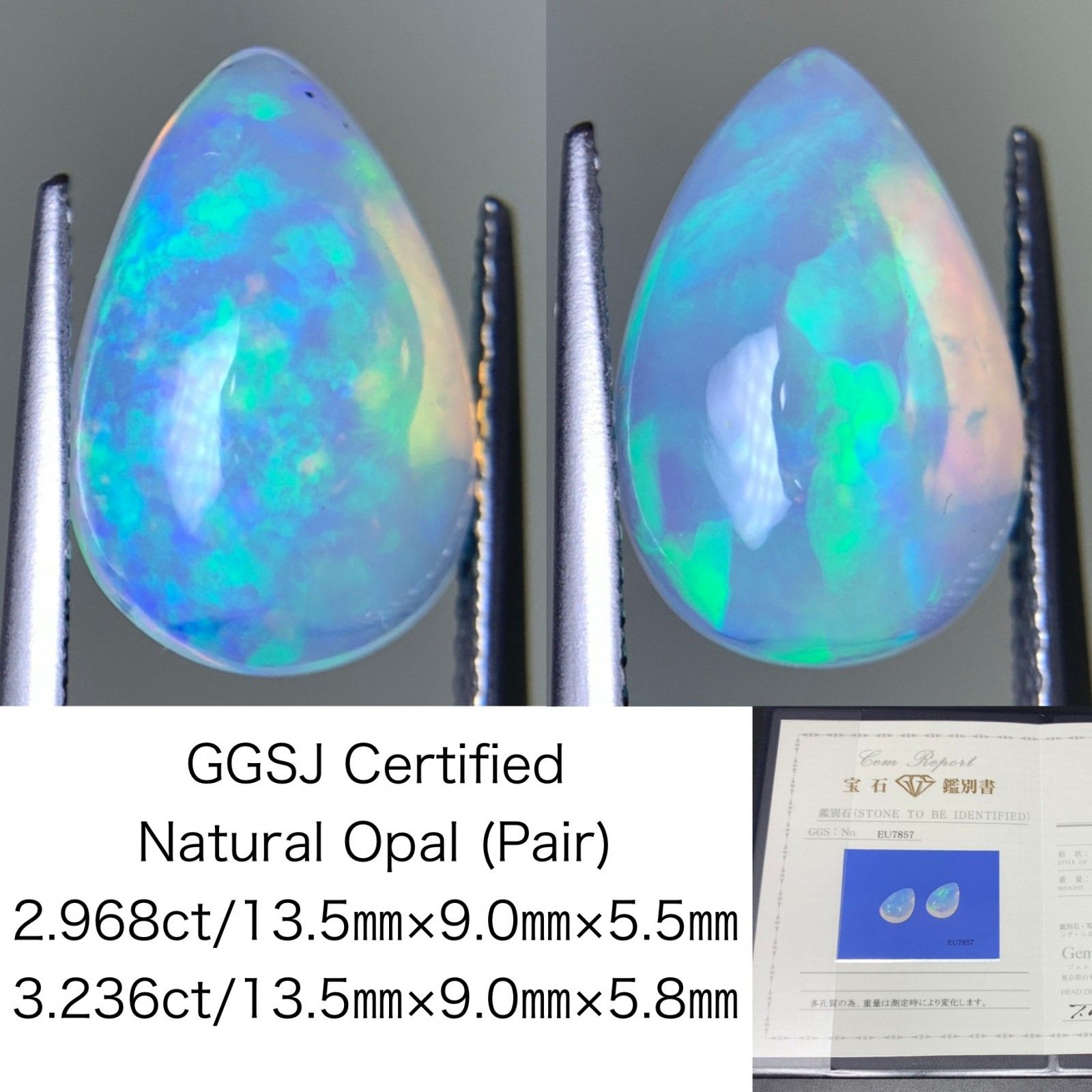 GOODデザイン】 ストア アールディーズ aldies クロップド パンツ 総柄