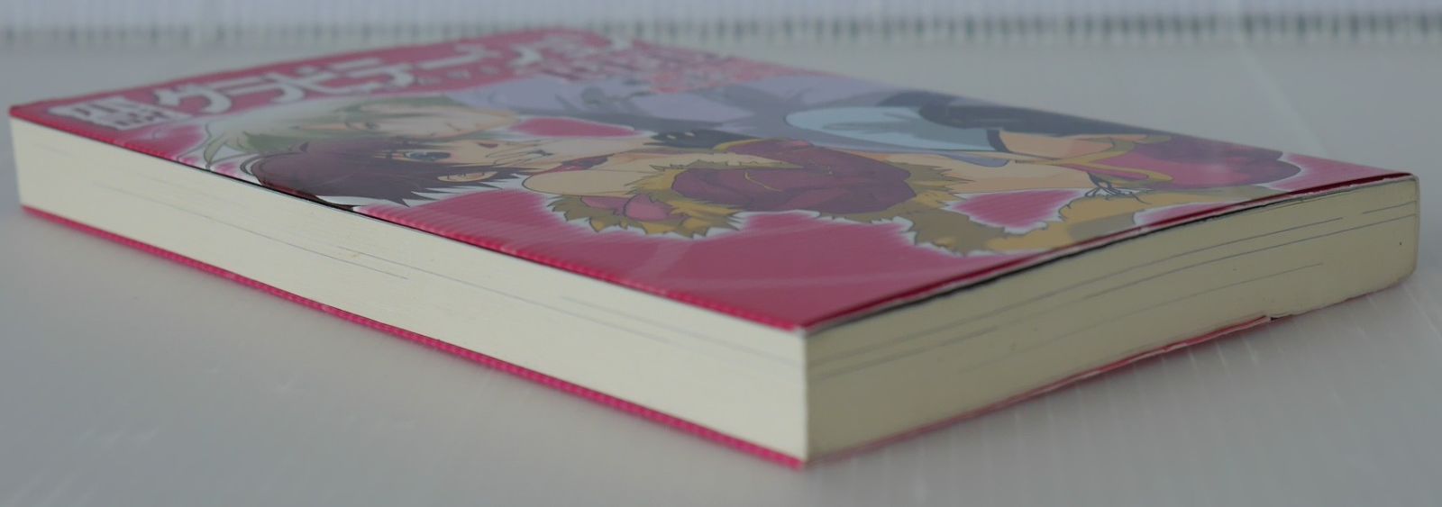 初版 絶版 小説 グラビテーションRED (著) 純礼音 / 村上真紀 - Novel