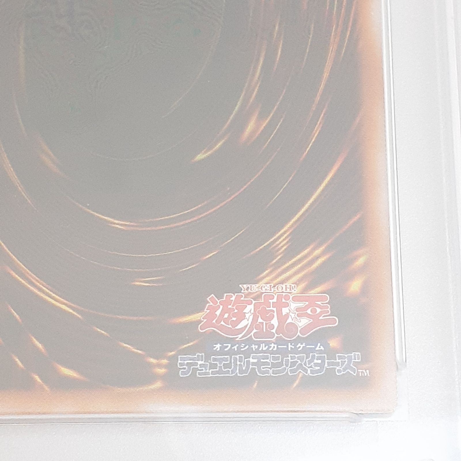 ブラックドラゴン