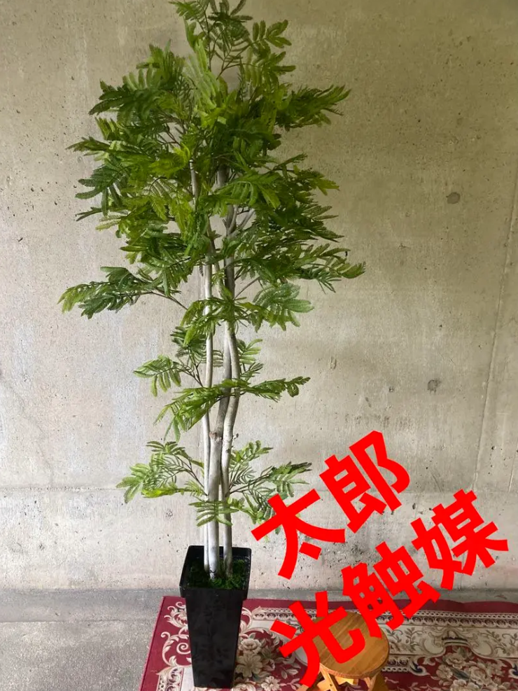 光触媒 人工観葉植物 ウォールグリーン フェイクグリーン フラワー