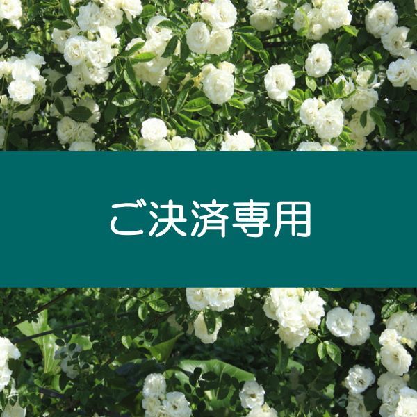 M様ご決済専用