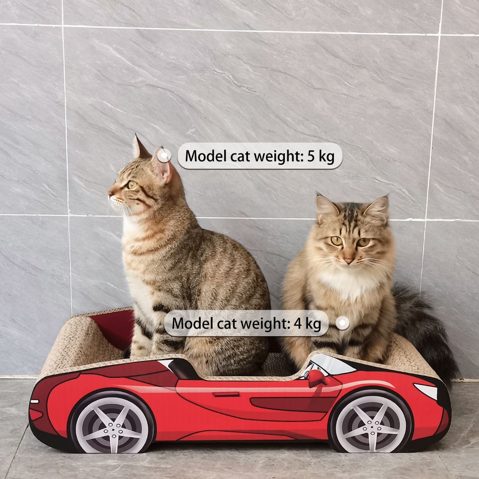 猫じゃらし 段ボール