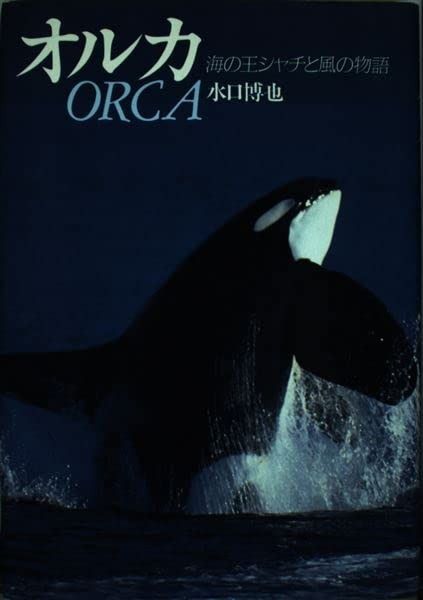 国際風水氣学協会 化殺エナジー 龍神