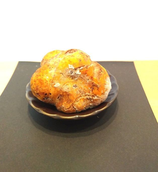 新シーズンスタート記念