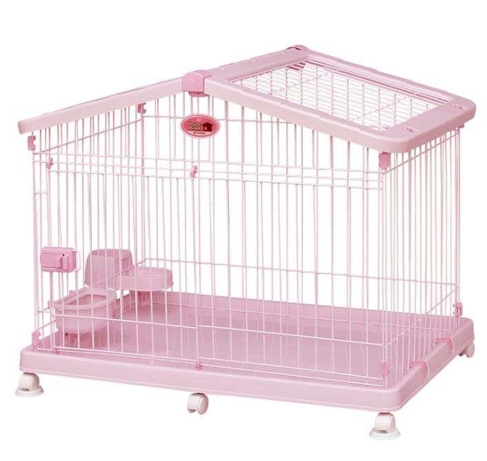 小型犬