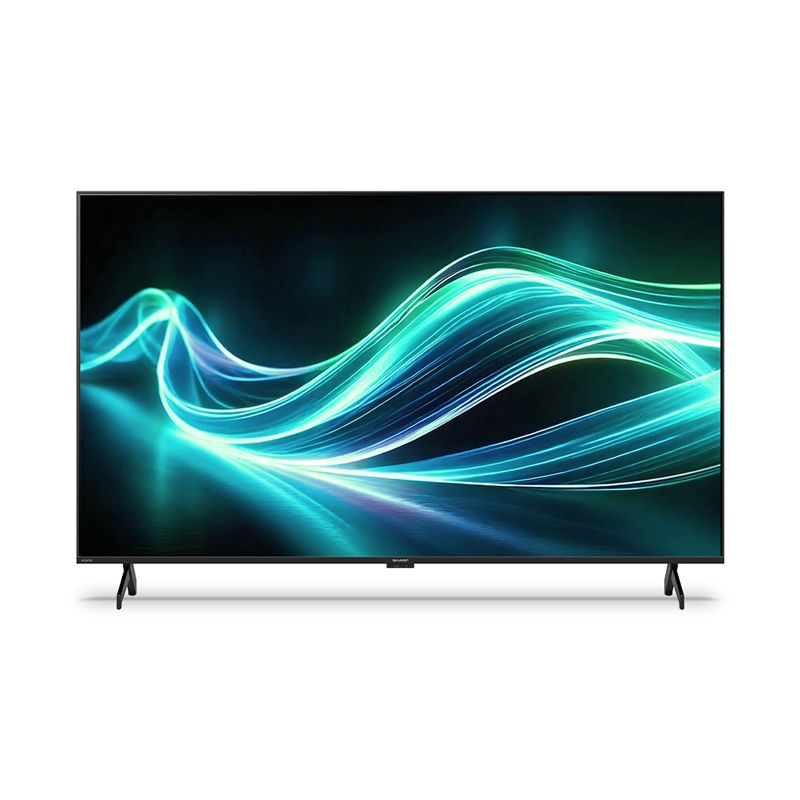 メーカー正規品 SHARP シャープ 4K液晶テレビ AQUOS 4T-C55GL1 55V型 Google TV搭載 高画質 高音質 ネット動画