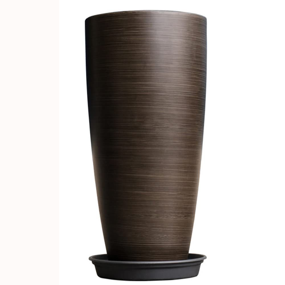 ボリューム満点‼️超特大サイズ 200size ⑫スモークツリー ドライ