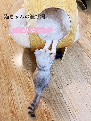 爪とぎ付き クッション付き 木製 ウォールナット 透明宇宙船 ベッド 可愛い オシャレ 猫 通気性 ツリー）猫宇宙船ハウス ペット休憩所 キャットタワー Tree（レインボー 組立簡単 Rainbow 日本語取扱説明書付き