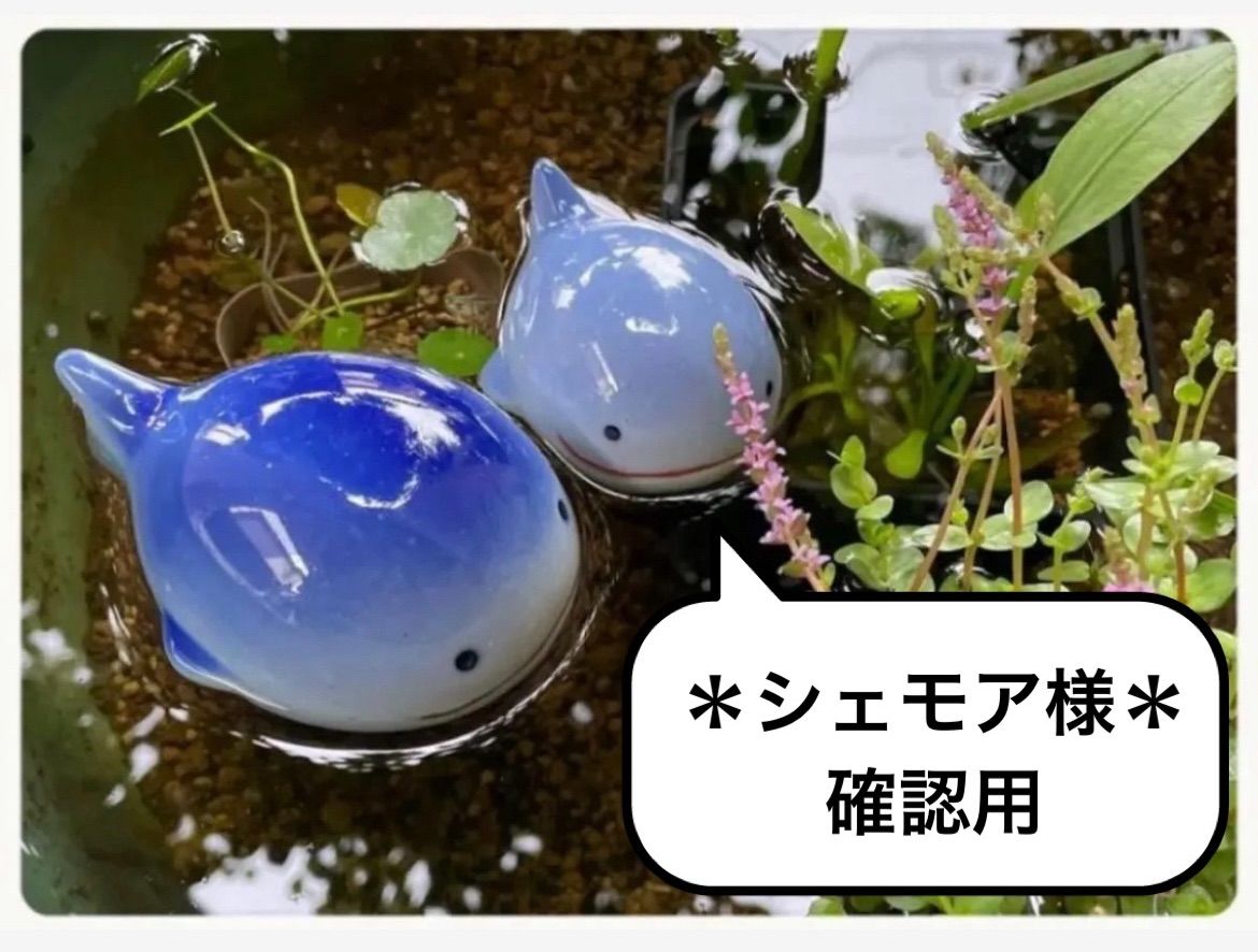 シェモア様 用