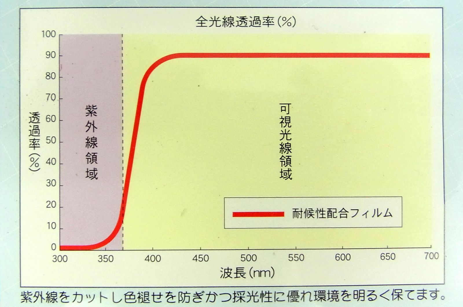 菱興プラスチック 糸入り透明シート ハトメ穴有り ひも付 約1.8m×3.6m