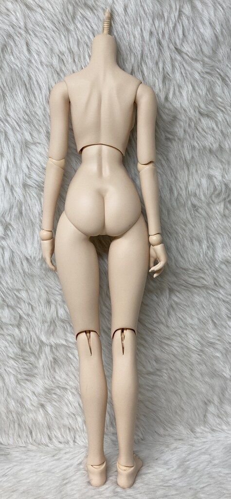 ボークス ドルフィードリーム DDベースボディ3 M胸 ノーマル肌