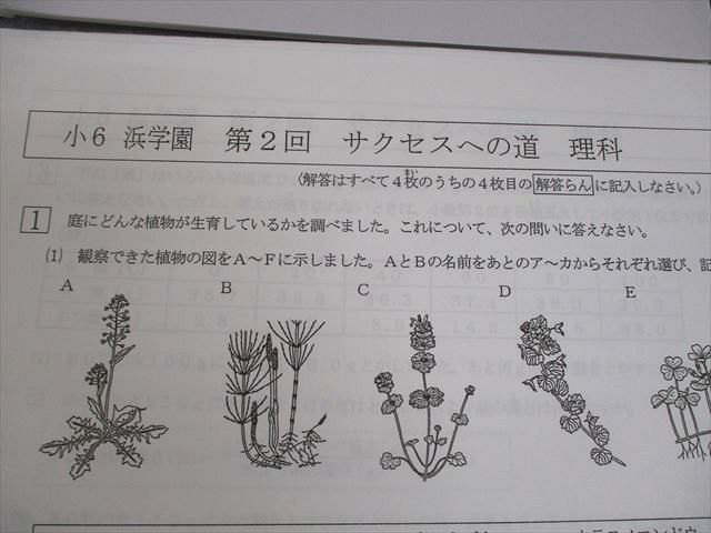 浜学園 小6 理科 生物カードテスト ファイナル 第1〜5回 2019 004s2D 浜学園 小6理科 1年分フルセット 計10冊 - メルカリ