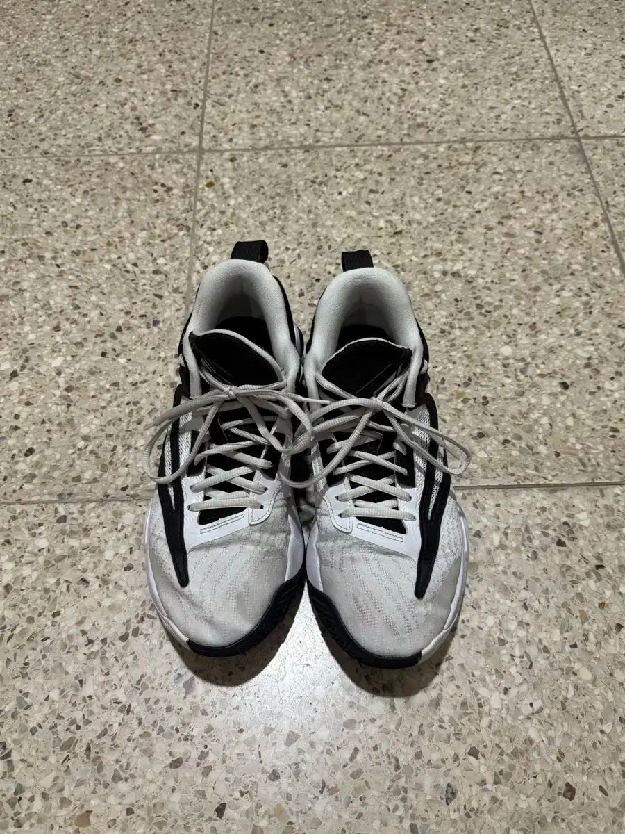 NIKE ナイキ Giannis ヤニス 不道徳 バスケットシューズ 260