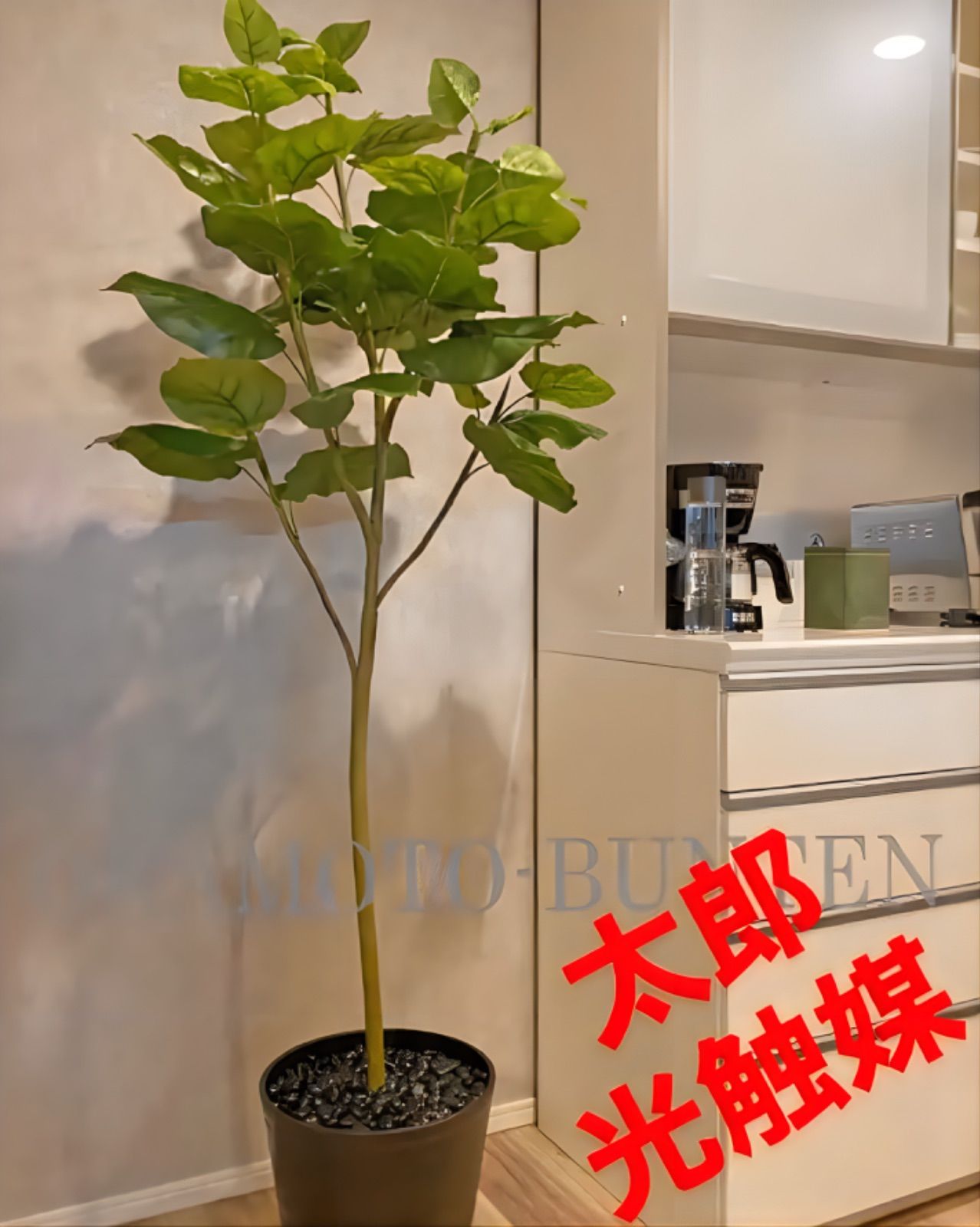 光触媒 人工観葉植物 ウォールグリーン フェイクグリーン ウンベラータ ...