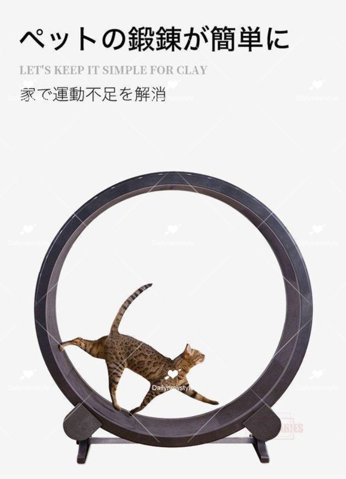 鍛錬 トレーニング