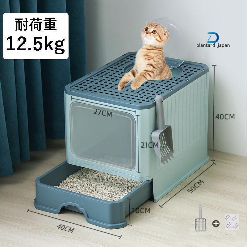 ネコ