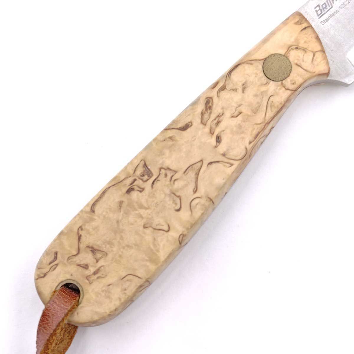 カーリーバーチ