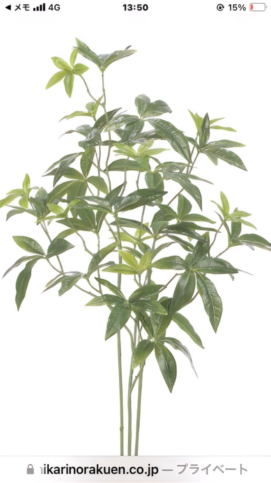 光触媒 人工観葉植物 ウォールグリーン フェイクグリーン フレッシュ