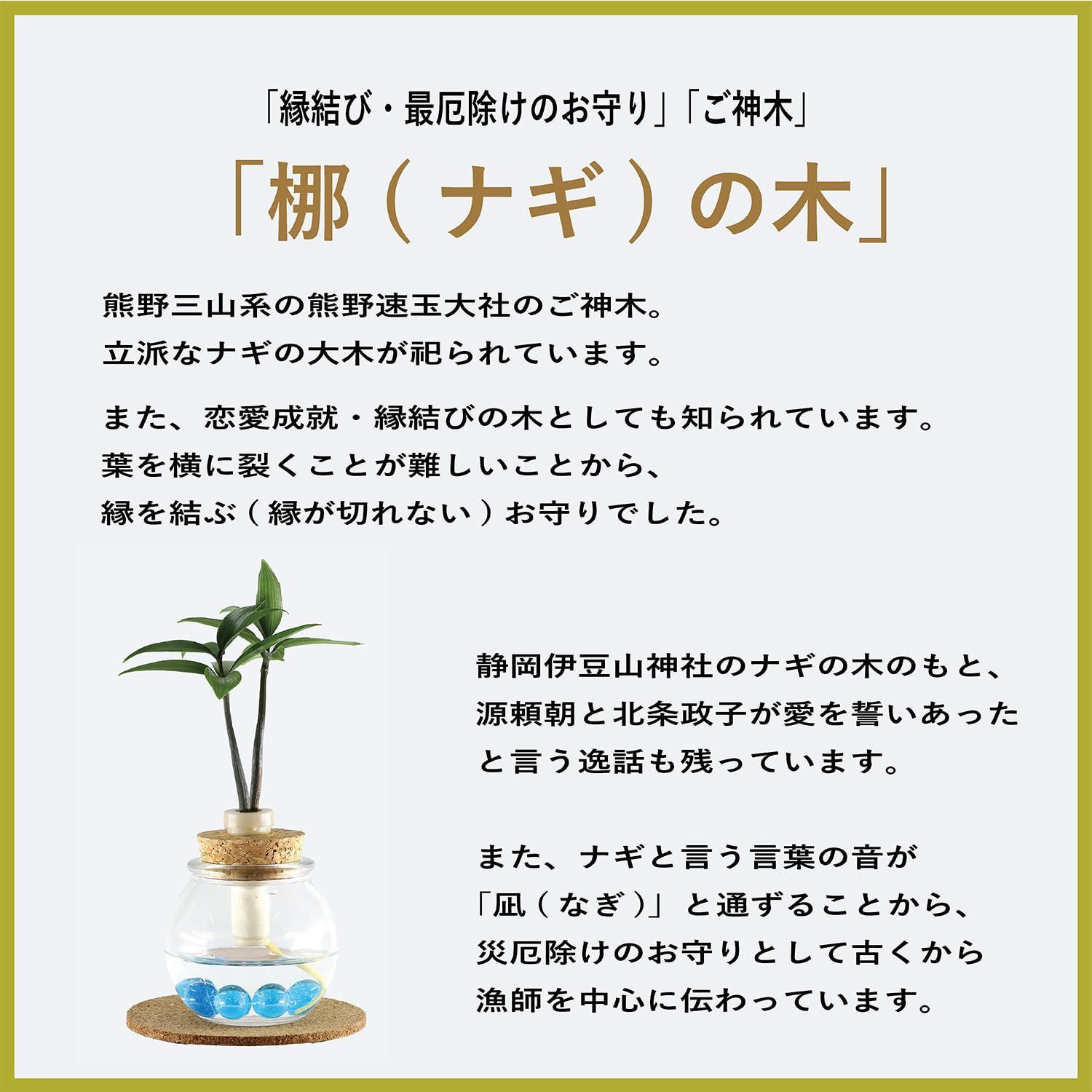 ご神木