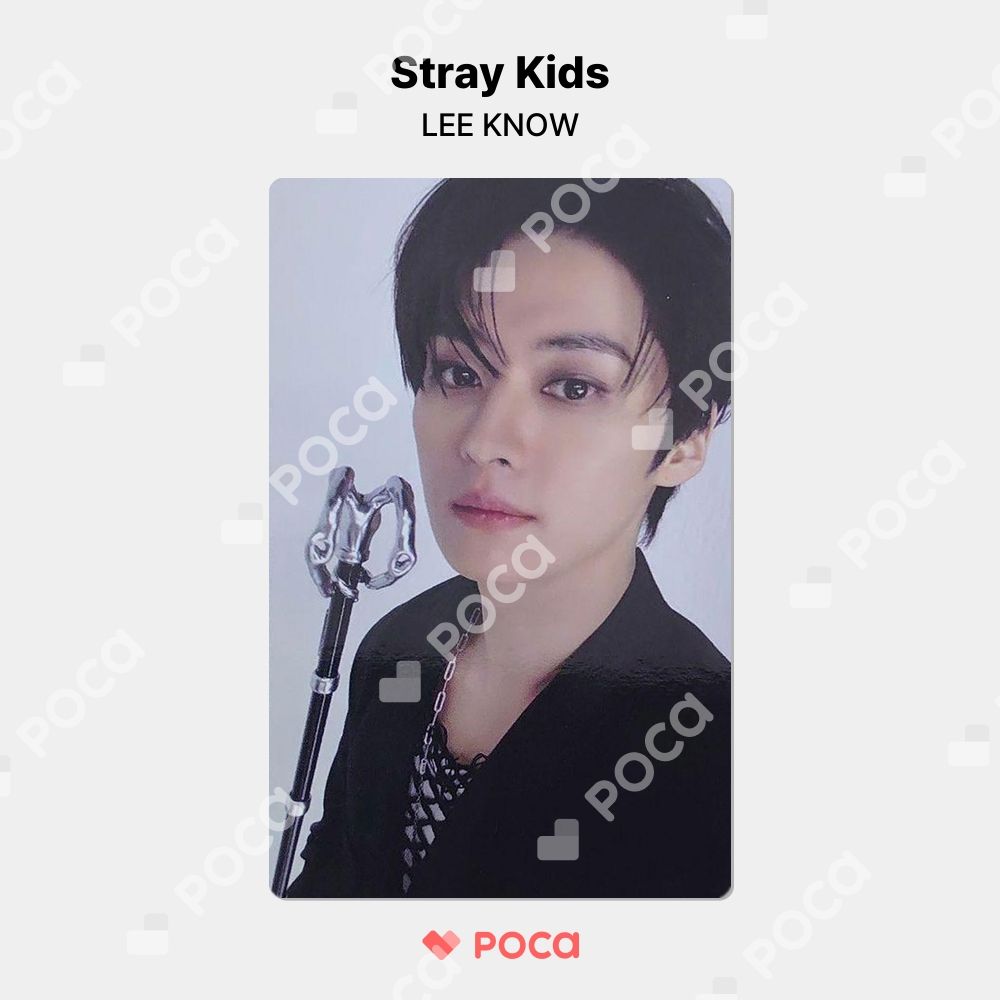 stray kidsリノアルバムトレカ Stray Kids リノ トレカ