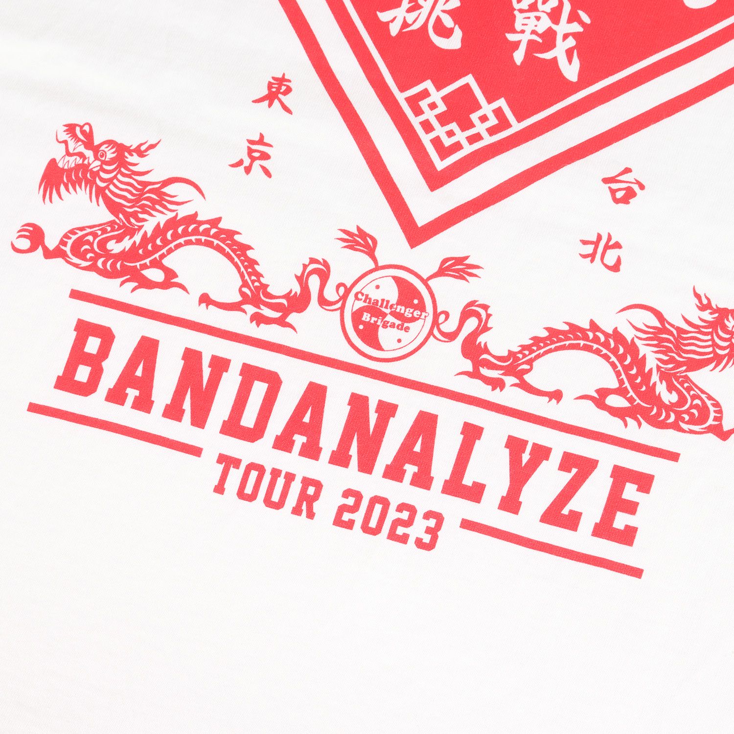 美品 CHALLENGER チャレンジャー Tシャツ サイズ:S 23SS BANDANALYZE 