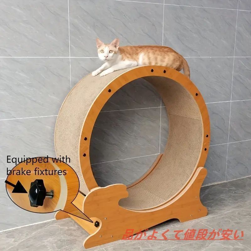 大型猫 min