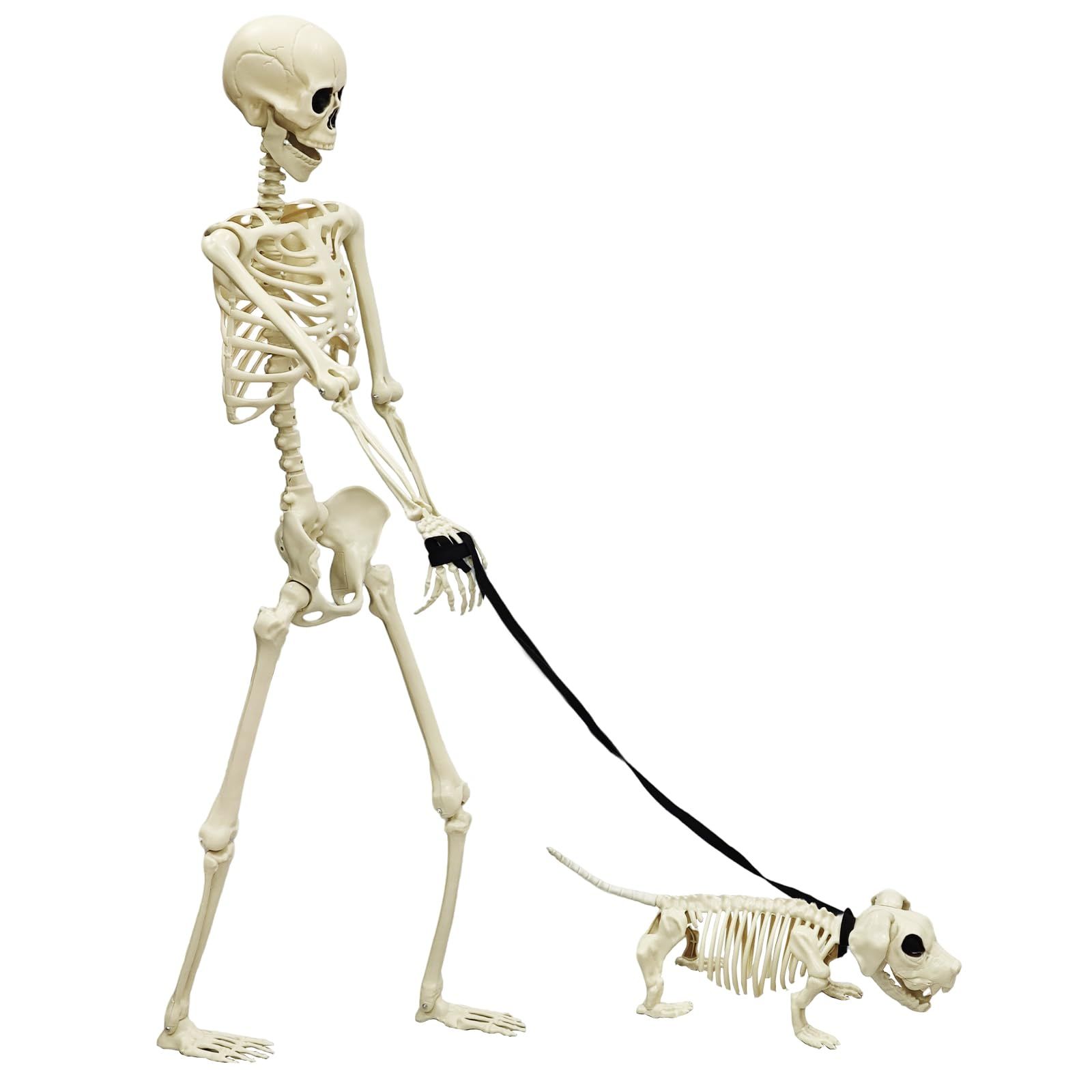 道具 165cm等身大 犬2点セット 家庭用 置物 飾り 吊り下げ 骸骨 撮影用 ハロウィン装飾 ハロウィン リアル感強い ホラー MARUNDA モデル