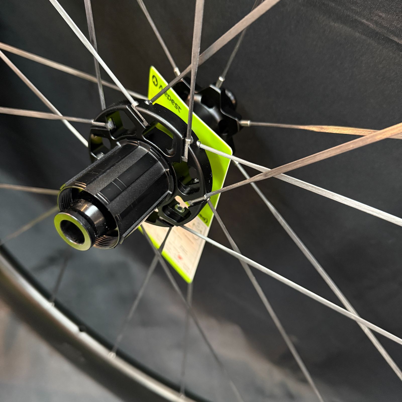 Nepest ネペスト NOVA（F:45mm、R:55mmハイト） ディスク