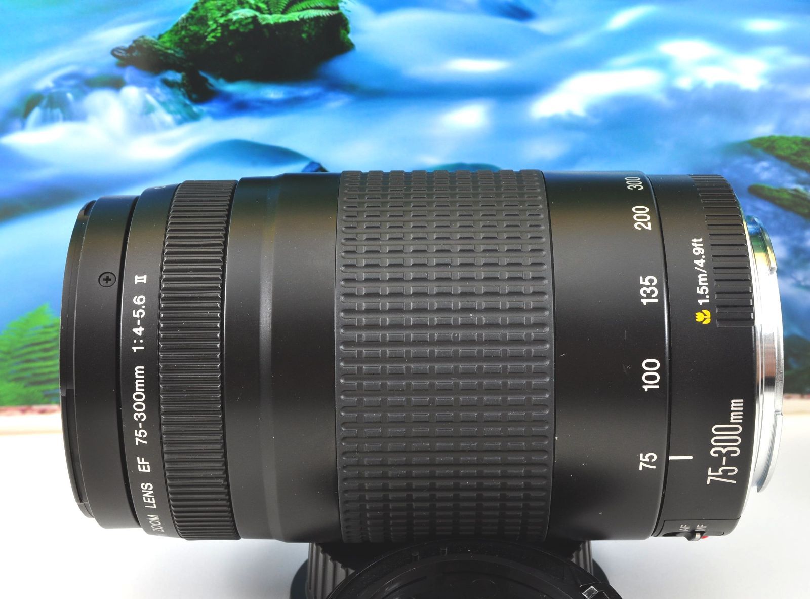 Canon 純正 EF75-300mm F4.5-5.6 フード キャップ付属 一眼レフ用望遠