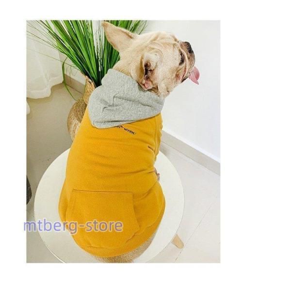 ○内博貴○公式写真 28枚セット 内博貴 公式写真② 28枚セット