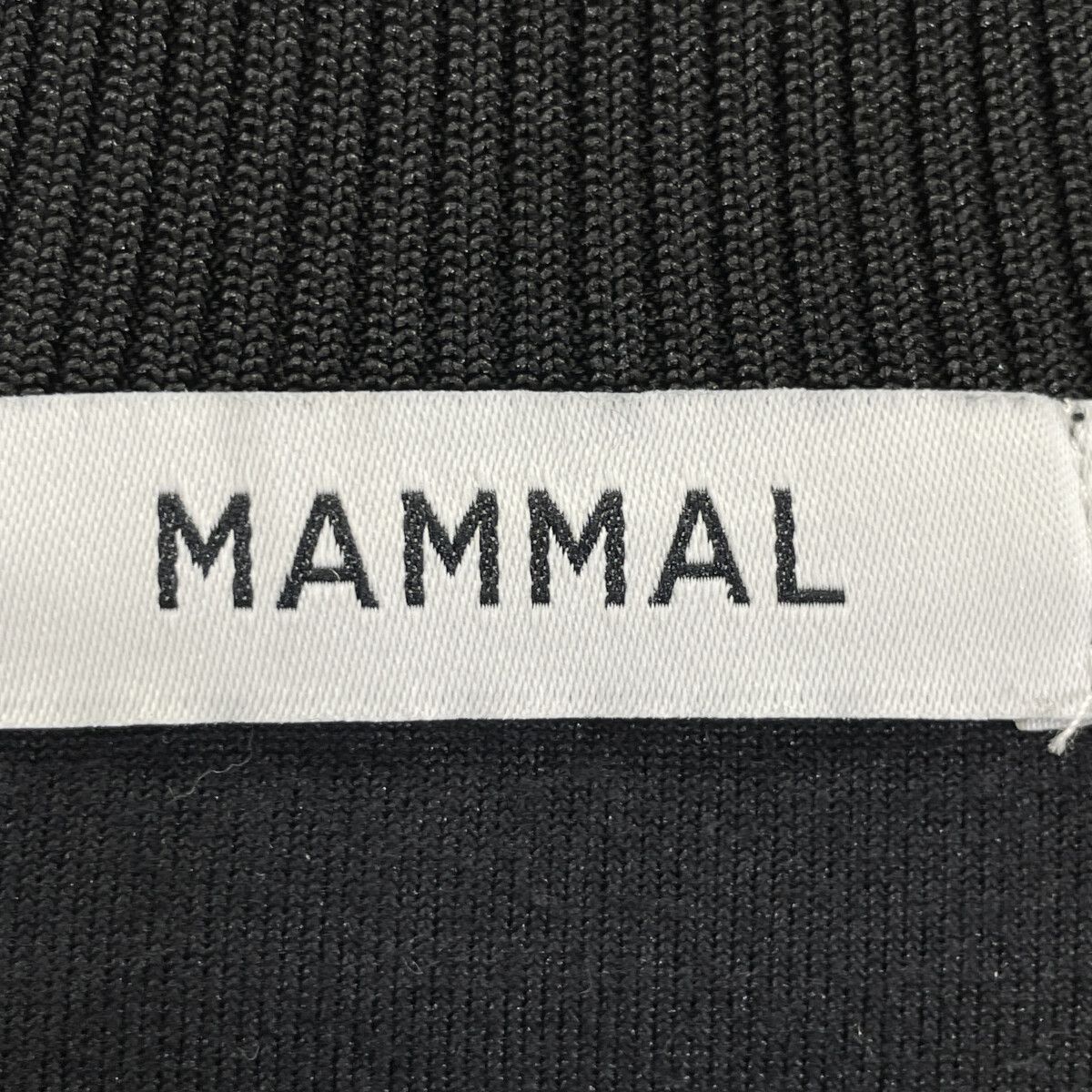 ｼﾞｬｰｼﾞｾｯﾄｱｯﾌﾟ