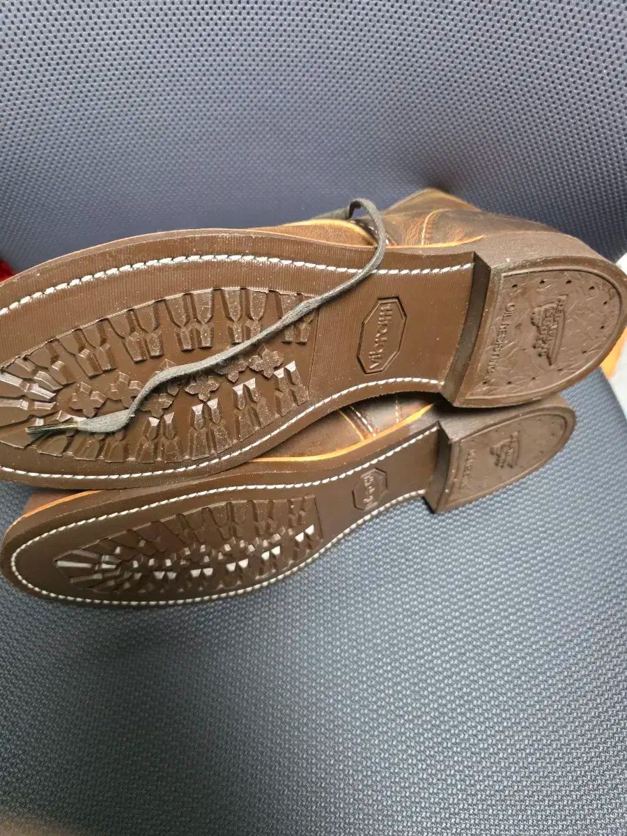 LINEスキー ラインスキー タイガースネーク LINE / TIGER SNAKE 164