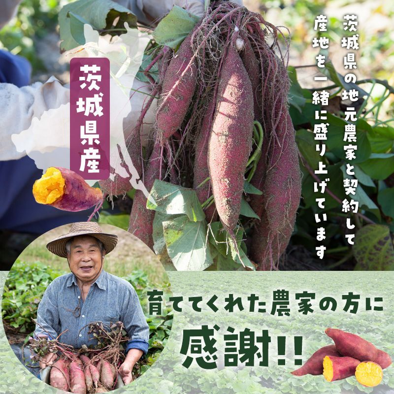 特★再入荷★【送料無料】国産 茨城県産 無添加 干し芋 紅はるか 250g