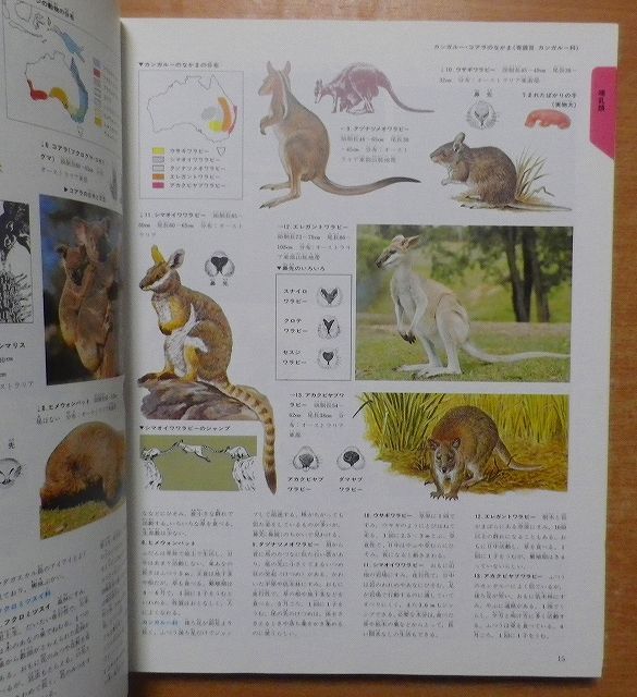 オルビス学習科学図鑑 動物 図鑑 大人も学べる - メルカリ