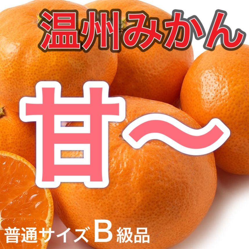 のサムネイル