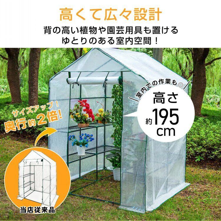フラワーハウス 観葉植物
