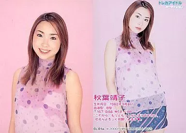 2025年最新】秋葉靖子の人気アイテム - メルカリ