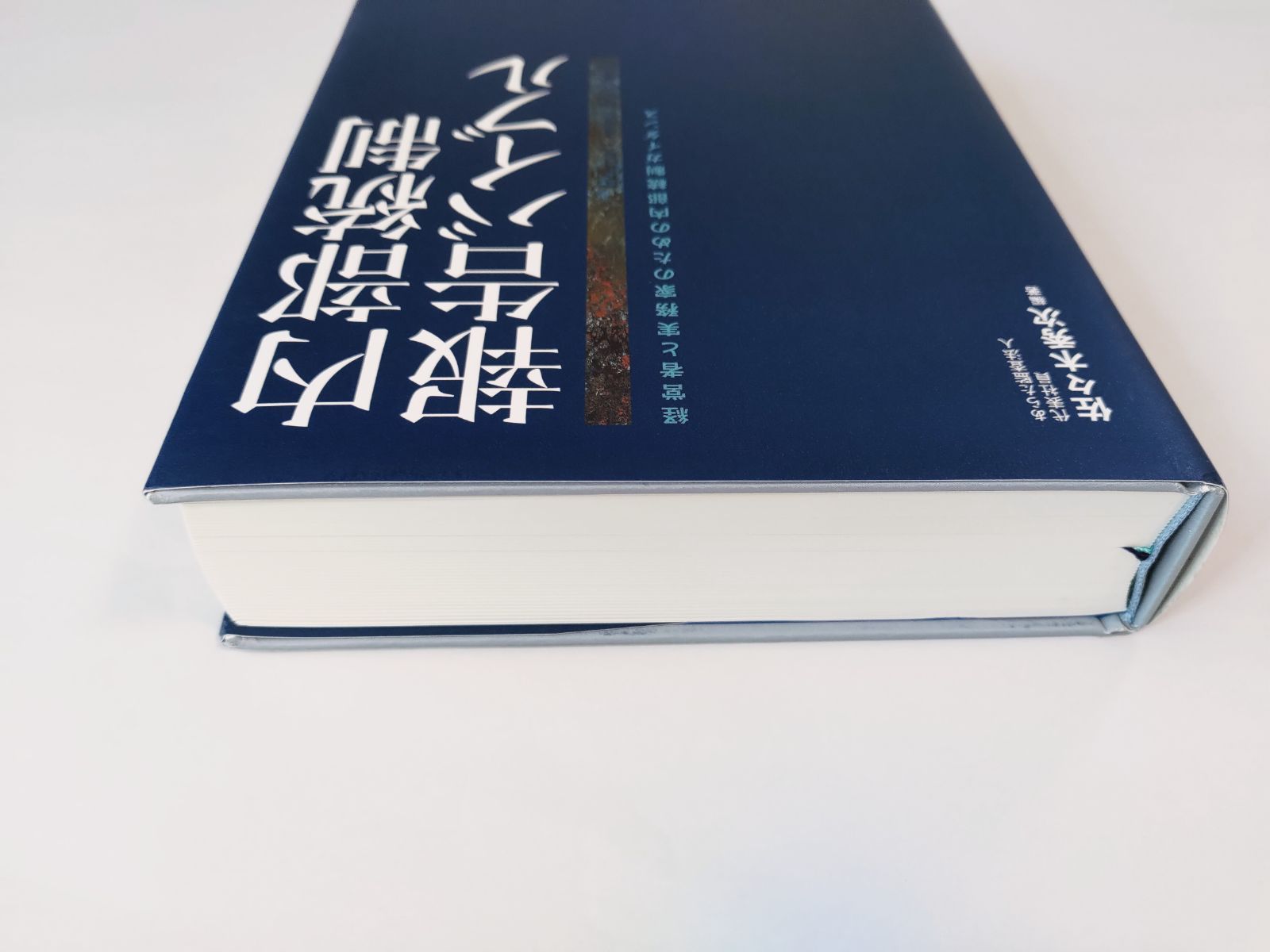 内部統制報告バイブル 経営者と実務家のための内部統制ガイダンス CD