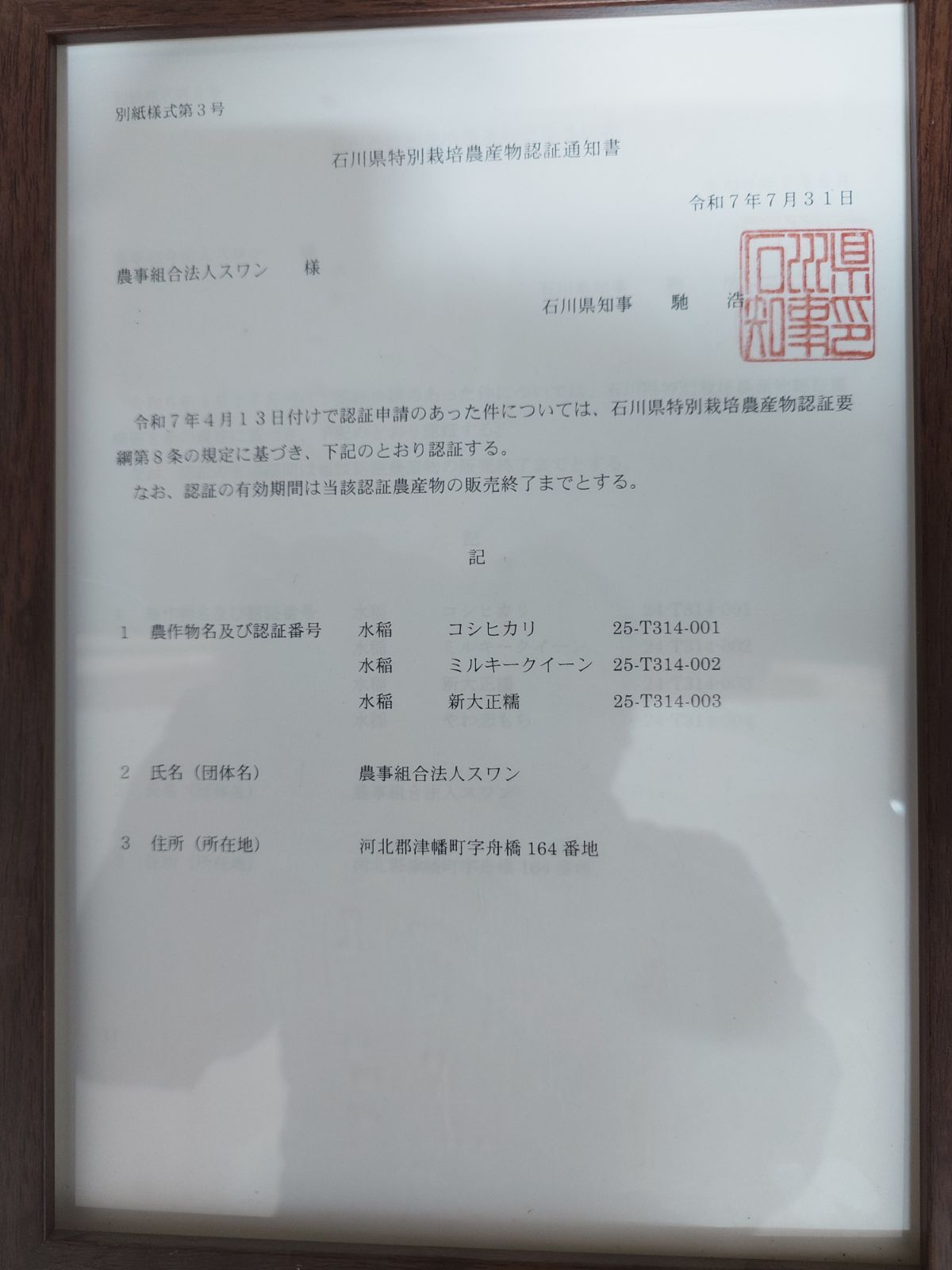 食品 令和7年石川県産 特別栽培コシヒカリ 玄米20kg