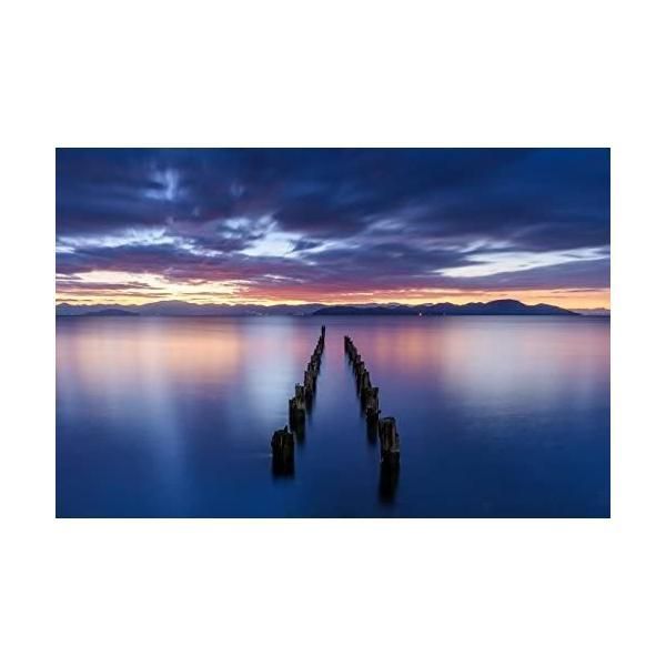 ND8