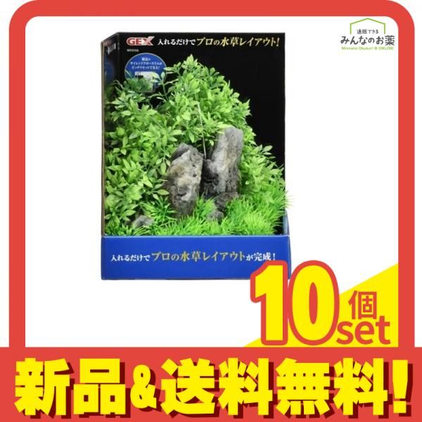 GEX 癒し水景 アクアキャンバス 1個入 F-L 10個セット
