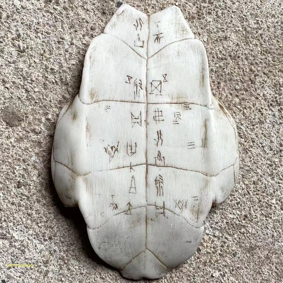 甲骨文 甲骨文字 中国古代文字 亀甲 彫刻 工芸品 樹脂製 腿骨