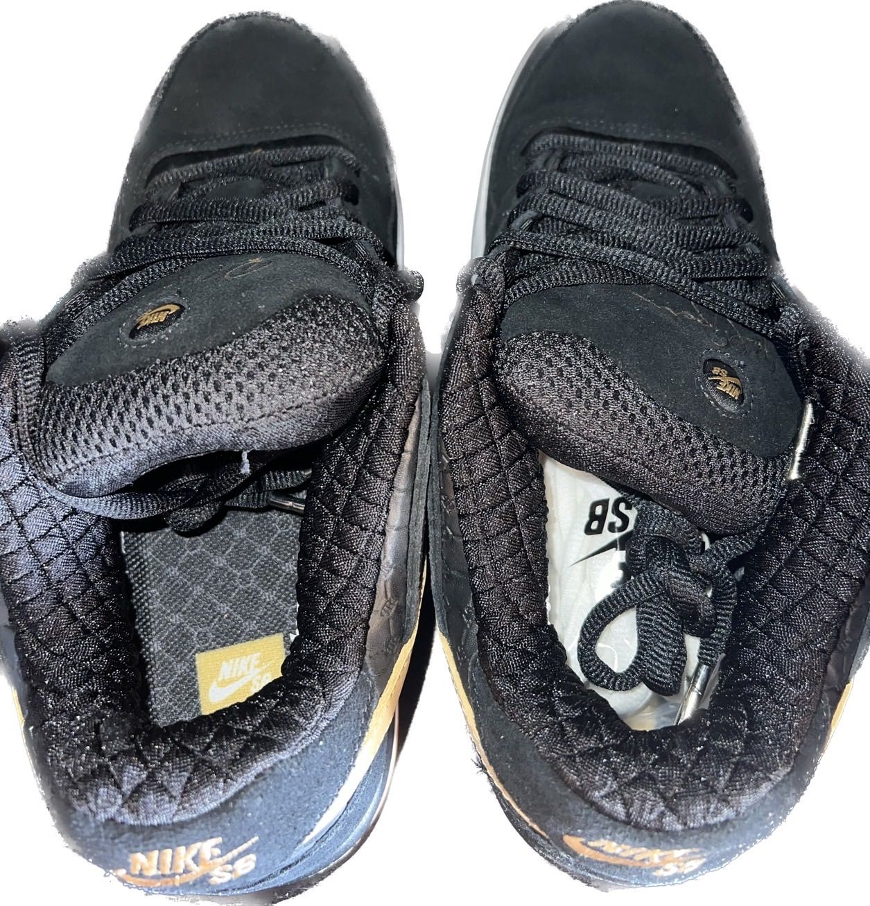 NIKE PAUL RODRIGUEZ 2 ZOOM AIR US 10.5 28.5cm 315459-071 替え紐 
