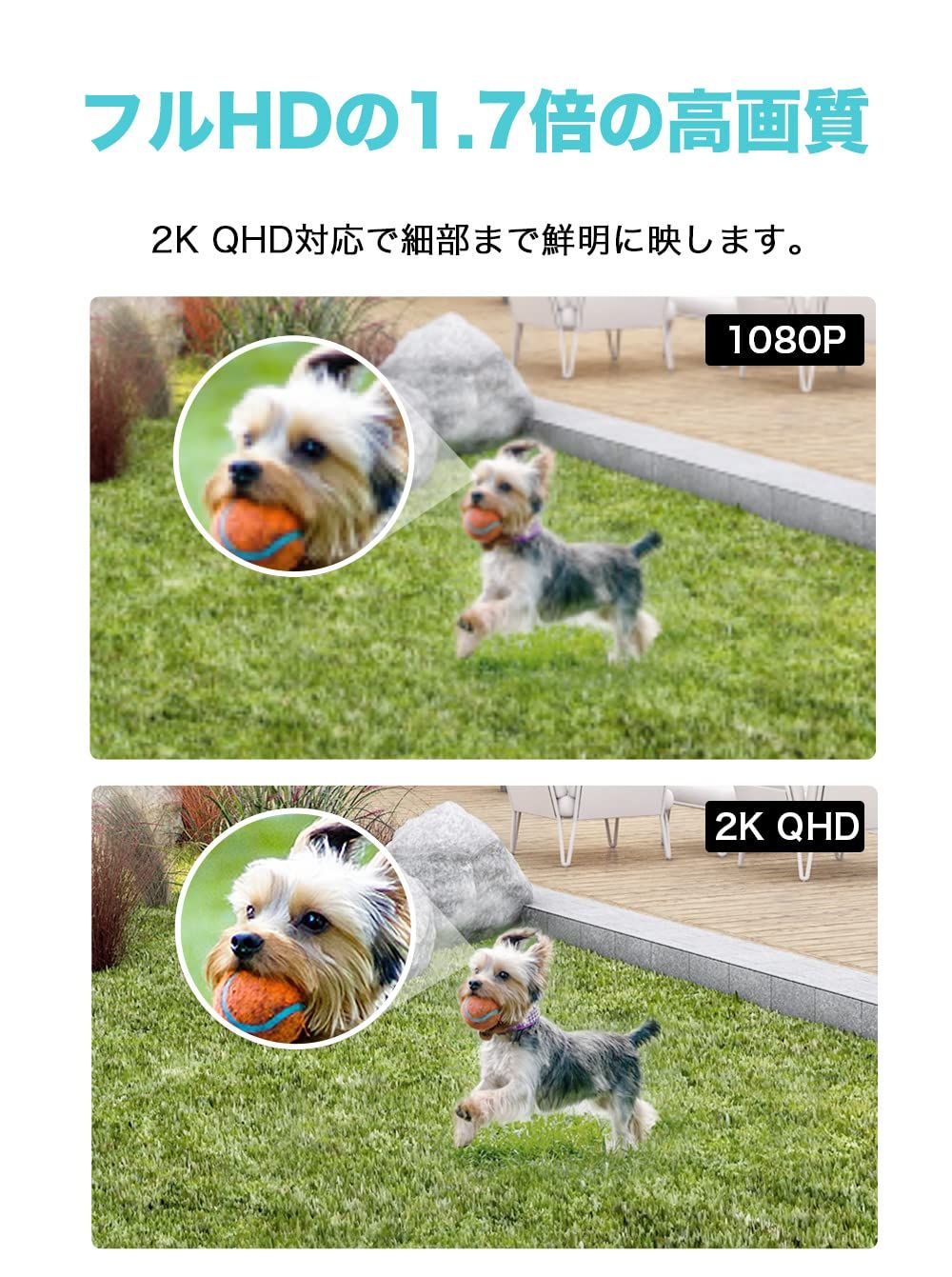ライト