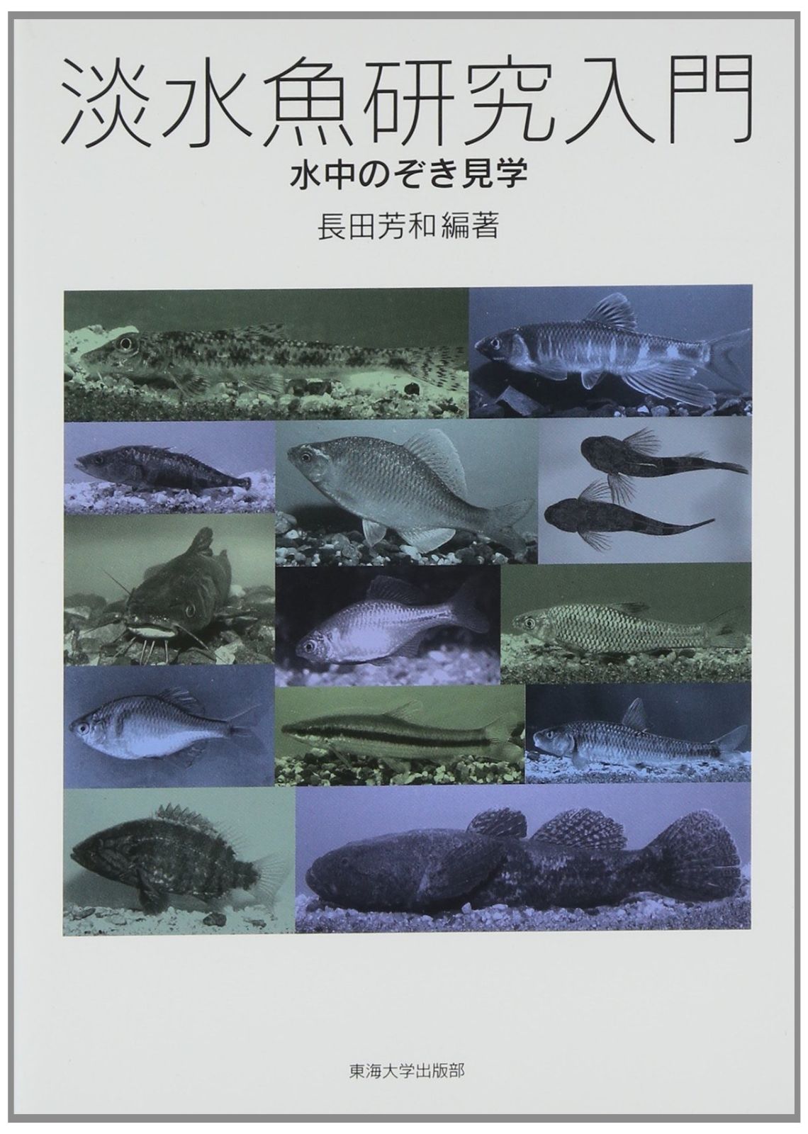 淡水魚研究入門: 水中のぞき見学