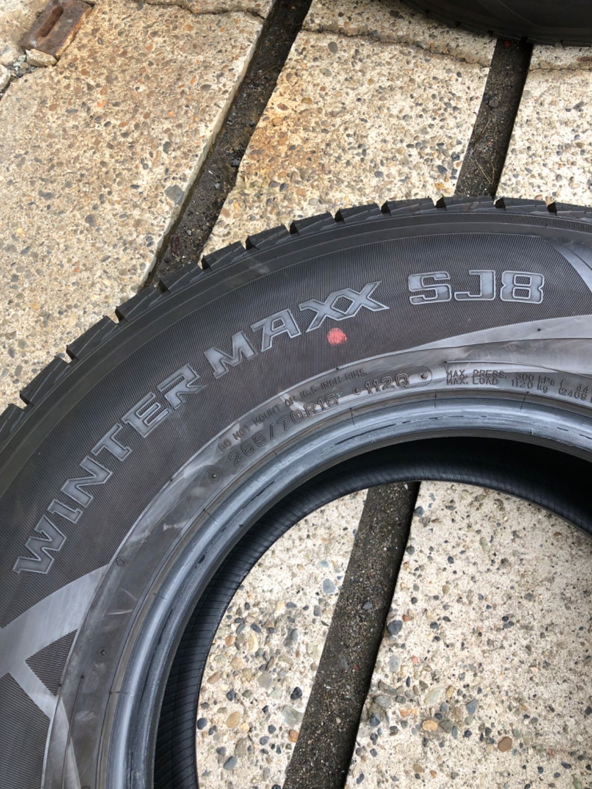 WINTER MAXX