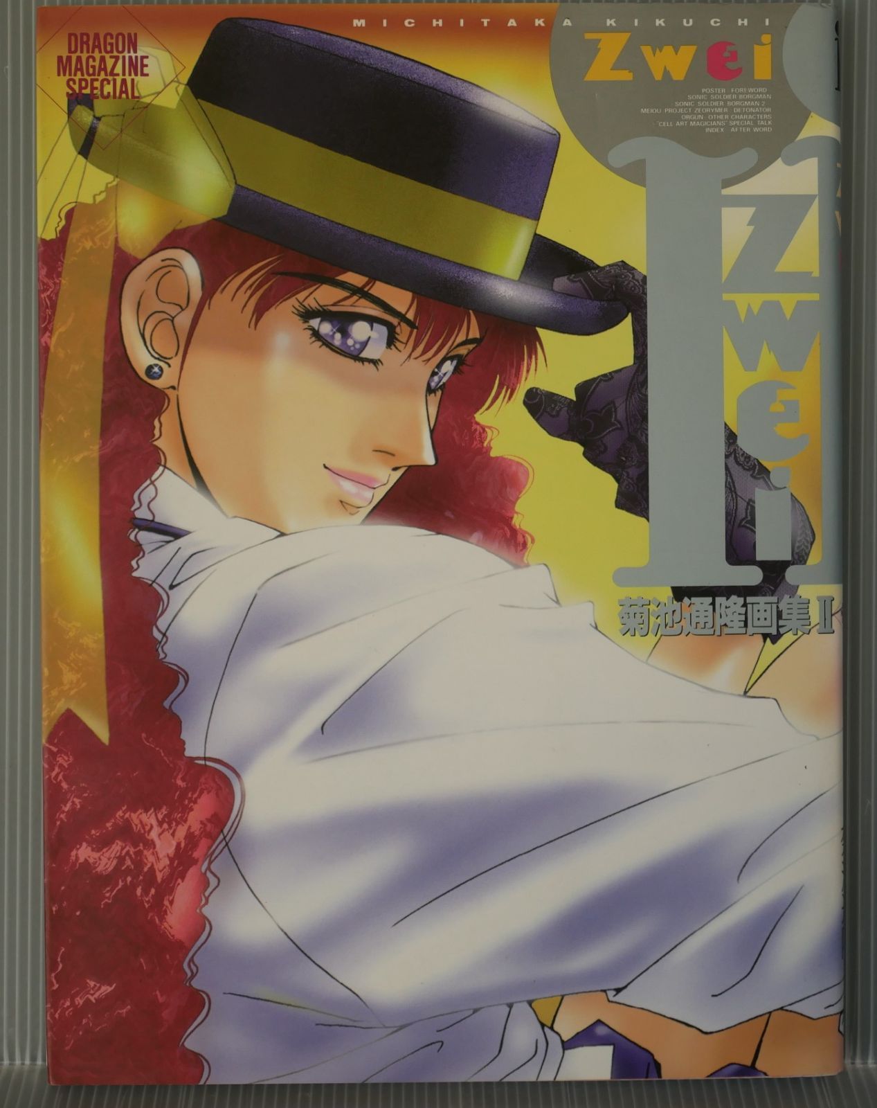 カガミ画集 2冊入り合計335ページ カガミ画集 2冊入り合計335ページ